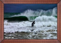 /album/fotogaleria-fotos-marinas/mg-3080-inpixio-640x480-jpg/